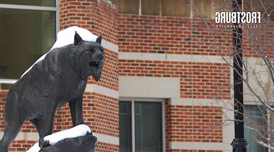 FSU Winter Bobcat